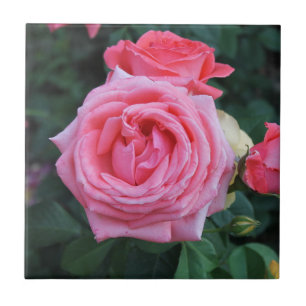 Roses Bloom Keramik Tile Fliese
