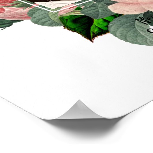 Roses Botanisches FOTO Poster (Ecke)