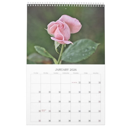 Roses Fotografische Blume Kalender (Jan 2026)