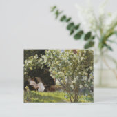 Roses. Marie Krøyer seated in the deckchair Postkarte (Stehend Vorderseite)