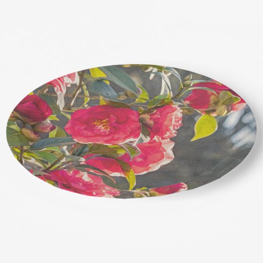 Roses pappteller (Schrägansicht)