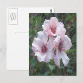 Roses Postkarte (Vorne/Hinten)