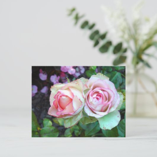 Roses Postkarte (Stehend Vorderseite)