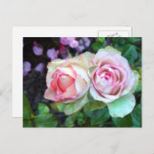 Roses Postkarte (Vorne/Hinten)