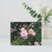 Roses Postkarte (Stehend Vorderseite)