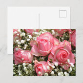 Roses Postkarte (Vorne/Hinten)