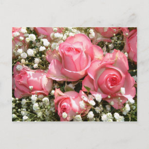 Roses Postkarte