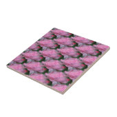 Roses Roses Florentiner Art Tile Fliese (Seite)