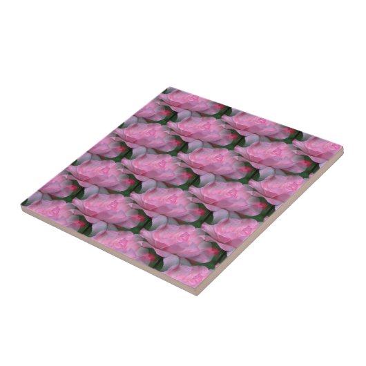 Roses Roses Florentiner Art Tile Fliese (Seite)
