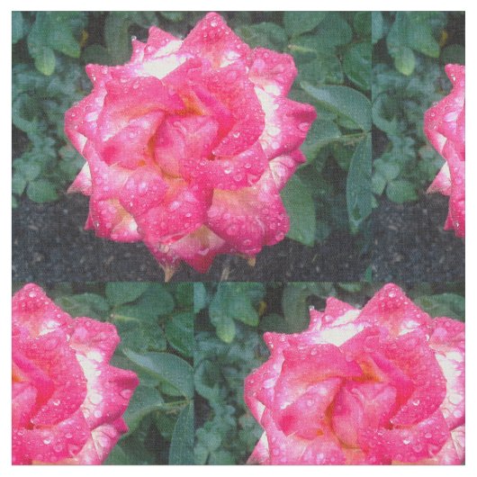 ROSES UND RAINDROPS STOFF (Nahaufnahme)