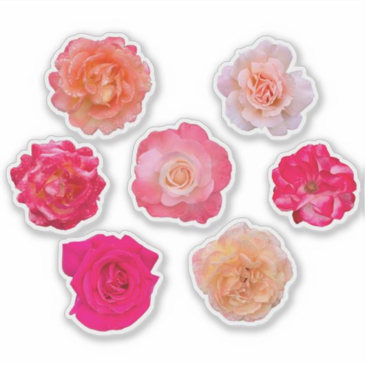 Roses Vinyl Sticker Set – 7 Unique Blooms (Vorderseite)