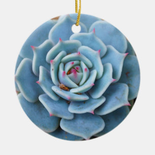 Rosesucculent-Verzierung Keramik Ornament