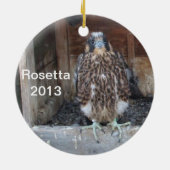 Rosetta Verzierung 2013 Keramikornament (Hinten)