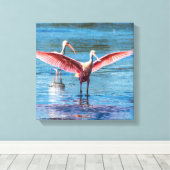 Rosette Spoonbill 12" x 12" Wrapped Canvas Leinwanddruck (Insitu (Holzboden))