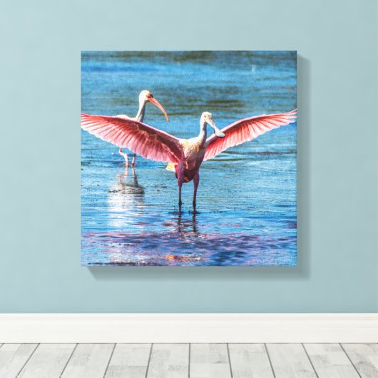 Rosette Spoonbill 12" x 12" Wrapped Canvas Leinwanddruck (Insitu (Holzboden))