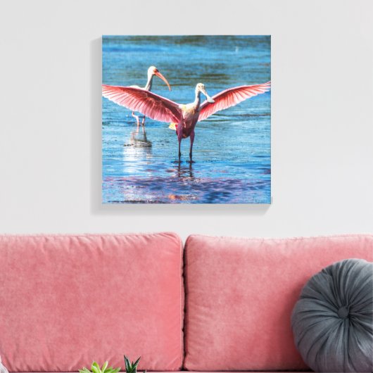 Rosette Spoonbill 12" x 12" Wrapped Canvas Leinwanddruck (Insitu (Wohnzimmer))