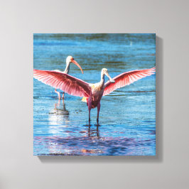 Rosette Spoonbill 12" x 12" Wrapped Canvas Leinwanddruck