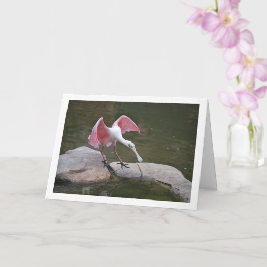 Rosette Spoonbill Karte (Orchidee)
