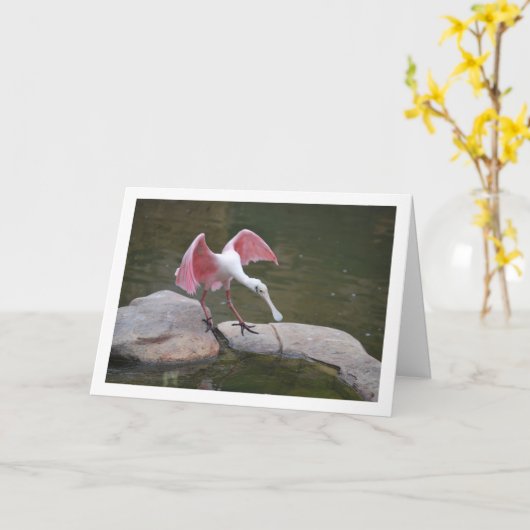 Rosette Spoonbill Karte (Gelbe Blume)
