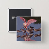 Rosette Spoonbill mit Willenskraft in flachem Wass Button (Vorne & Hinten)