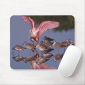 Rosette Spoonbill mit Willenskraft in flachem Wass Mousepad (Mit Mouse)