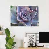 Rosette Succulent Beauty Poster (Heimbüro)