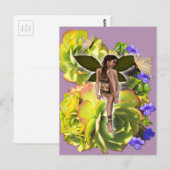 Rosette Succulent Besucher Postkarte (Vorne/Hinten)