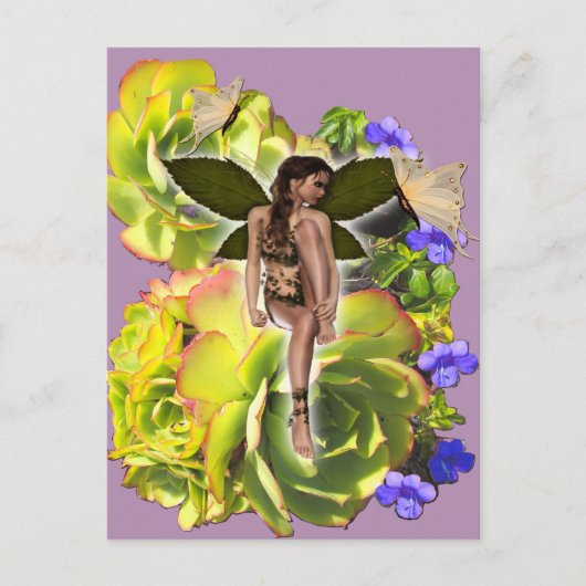 Rosette Succulent Besucher Postkarte (Vorderseite)