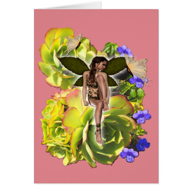 Rosette Succulent Visitors (Vorne)