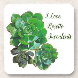 Rosette Succulents Plastischer Untersetzer