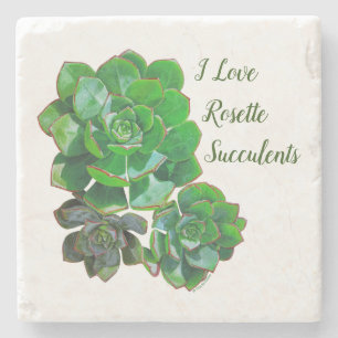 Rosette Succulents Stone Untersetzer