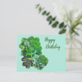 Rosette Succules Postkarte (Stehend Vorderseite)