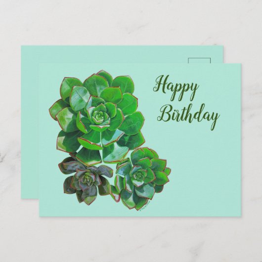 Rosette Succules Postkarte (Vorne/Hinten)