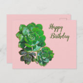 Rosette Succules Postkarte (Vorne/Hinten)