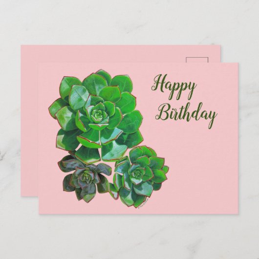 Rosette Succules Postkarte (Vorne/Hinten)