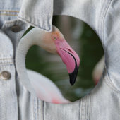 Roseus spp. button (Beispiel)