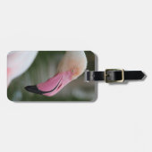 Roseus spp. gepäckanhänger (Vorderseite horizontal)