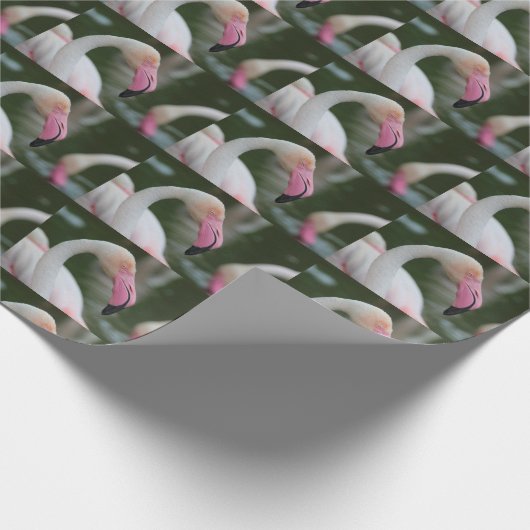 Roseus spp. geschenkpapier (Ecke)