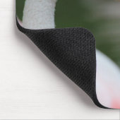 Roseus spp. mousepad (Ecke)