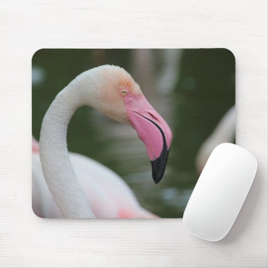Roseus spp. mousepad (Mit Mouse)