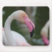 Roseus spp. mousepad (Vorne)