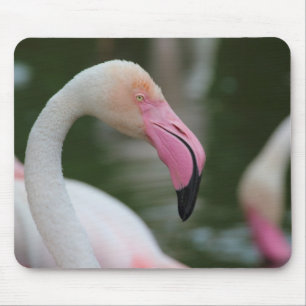 Roseus spp. mousepad