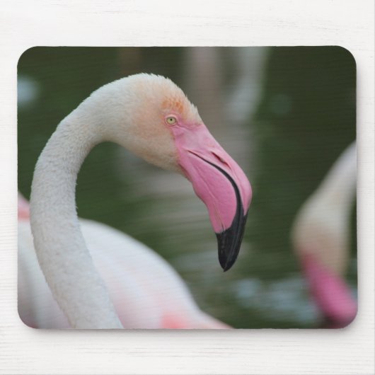 Roseus spp. mousepad (Vorne)