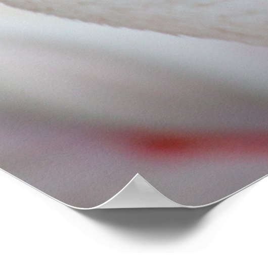 Roseus spp. poster (Ecke)