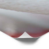 Roseus spp. poster (Ecke)