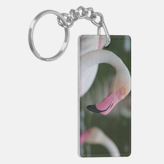 Roseus spp. schlüsselanhänger (Vorderseite links)