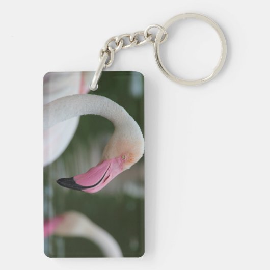 Roseus spp. schlüsselanhänger (Rückseite)