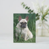 Rosey im Gras Postkarte (Stehend Vorderseite)
