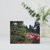 Rosey Landscape Portland, Oregon Postkarte (Stehend Vorderseite)
