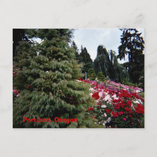 Rosey Landscape Portland, Oregon Postkarte